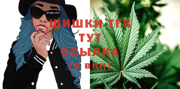 ПСИЛОЦИБИНОВЫЕ ГРИБЫ Касимов