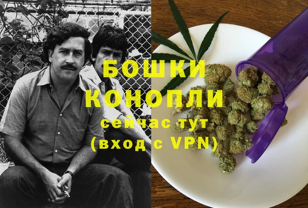 ПСИЛОЦИБИНОВЫЕ ГРИБЫ Касимов