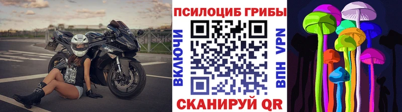 Галлюциногенные грибы Psilocybe  Купить где  Миллерово 